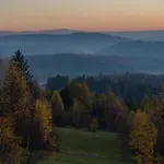 Wilk W Górach Sowich Jugów