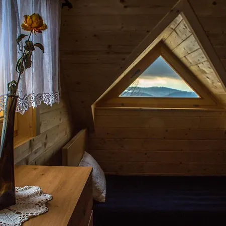 Wilk W Gorach Sowich Jugów