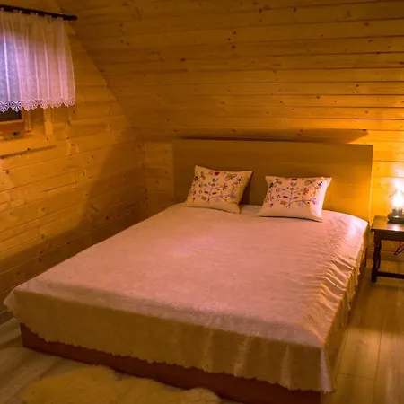 Wilk W Gorach Sowich *