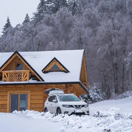 Wilk W Gorach Sowich * Jugów