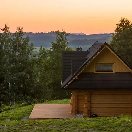 Wilk W Gorach Sowich Jugow