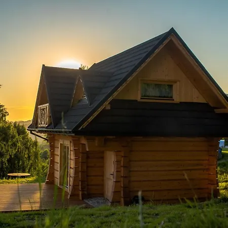 Wilk W Gorach Sowich * Jugów