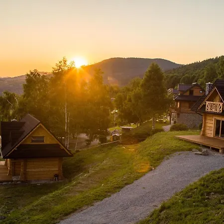 Wilk W Gorach Sowich