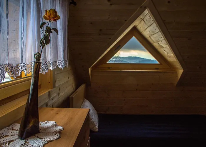 Wilk W Gorach Sowich Jugów