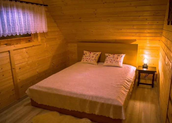 Wilk W Gorach Sowich *