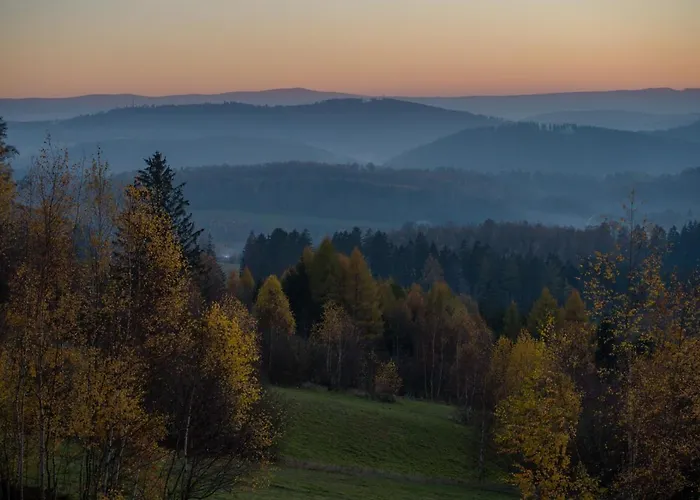 Wilk W Gorach Sowich Jugów