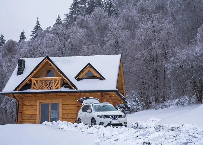 Wilk W Gorach Sowich * Jugow