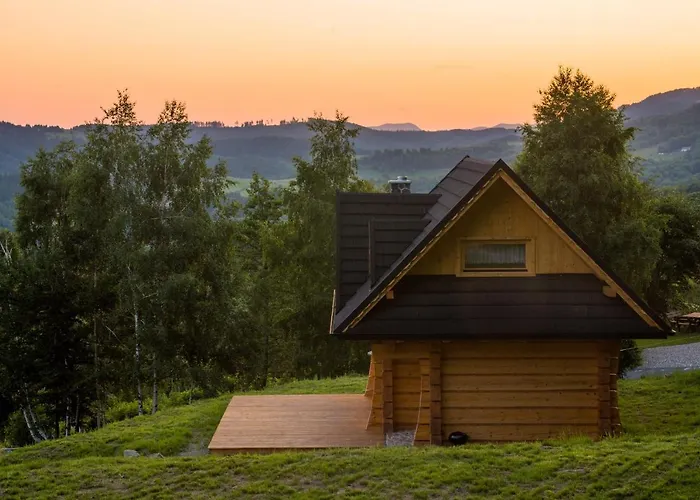 Wilk W Gorach Sowich Jugow