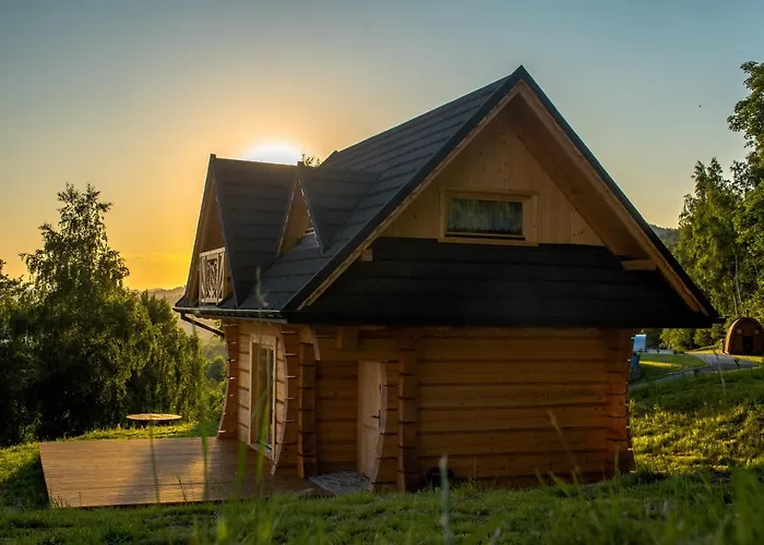 Wilk W Gorach Sowich * Jugow