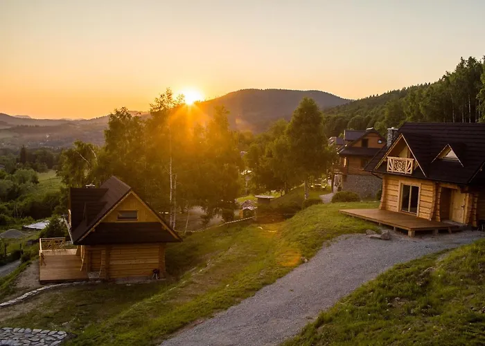 Wilk W Gorach Sowich